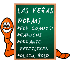 worm composting is easy and fun if you have the right worms!